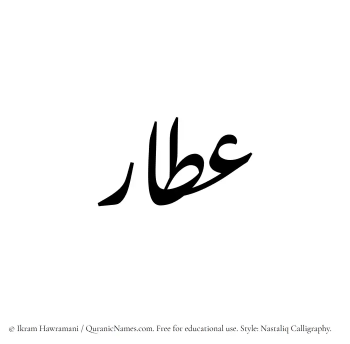 The Muslim name word Attar written in Nastaliq
